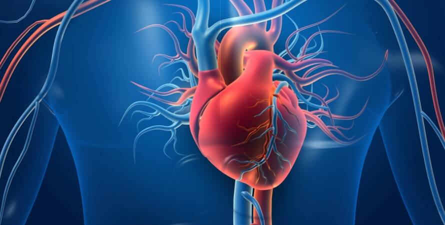 Ankara Kalp Damar Cerrahisi Doktorları