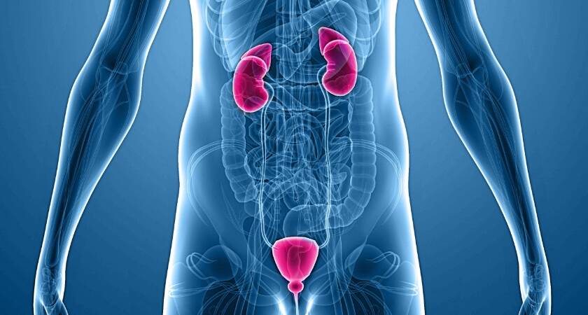 Antalya Üroloji Doktorları