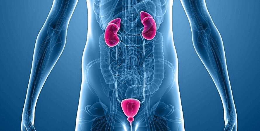 Antalya Üroloji Doktorları