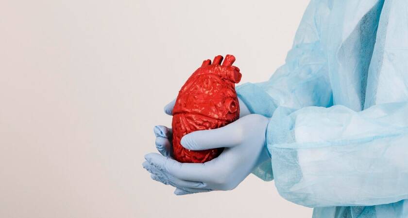 Türkiye Kalp Damar Cerrahisi Doktorları