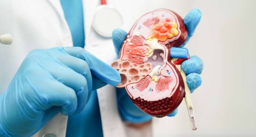 Türkiye Üroloji Doktorları